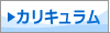 カリキュラム