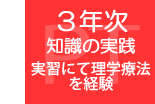 ３年次：知識の実践（実習にて理学療法を経験）